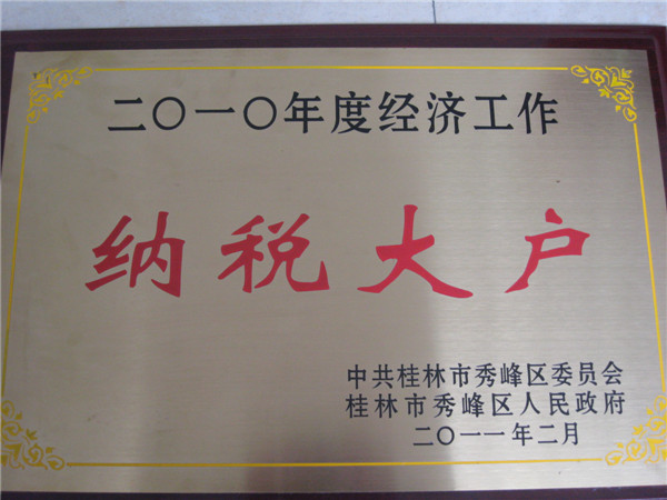 2010˰